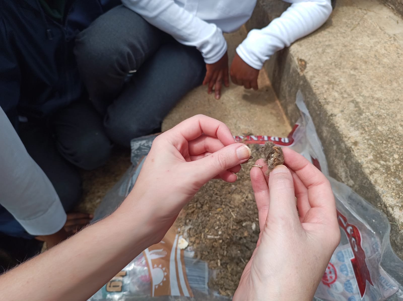 WhatsApp Image 2025-02-21 at 11.47.49 (1).jpeg