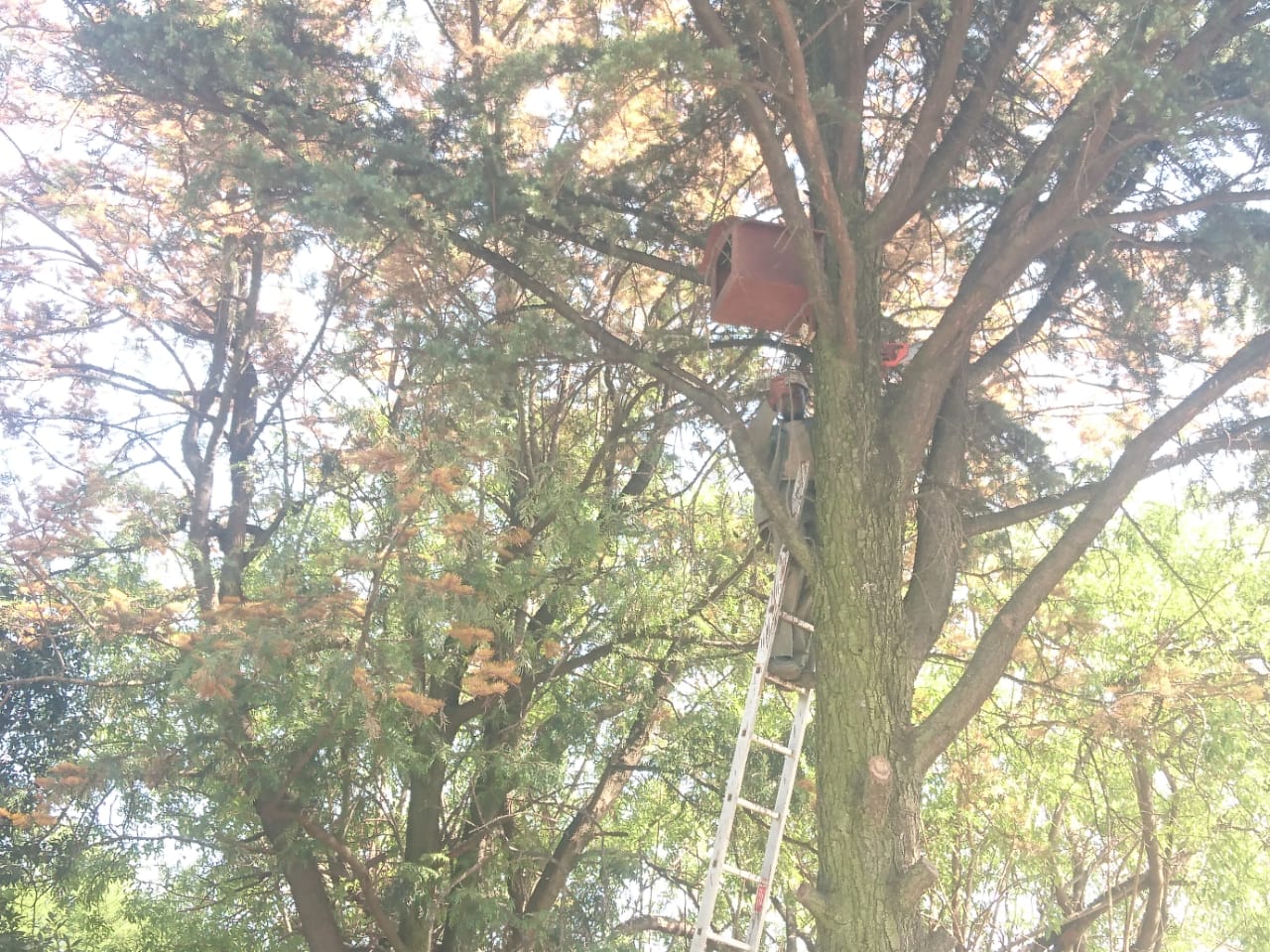 WhatsApp Image 2019-10-18 at 13.50.10.jpeg