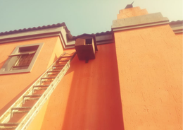 Occupied Owl Box in Alexandra Township