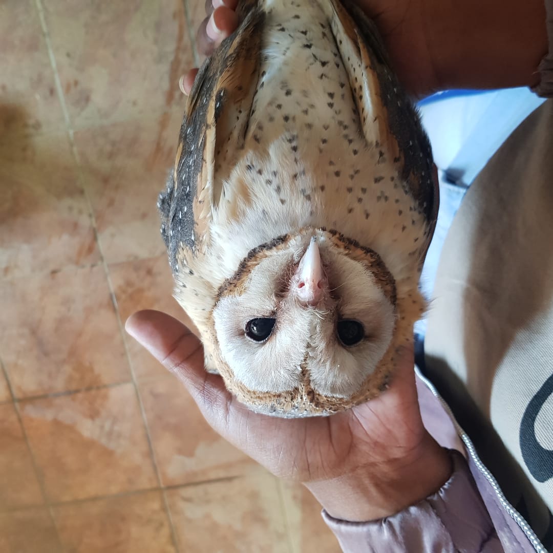 WhatsApp Image 2019-10-07 at 20.33.32.jpeg