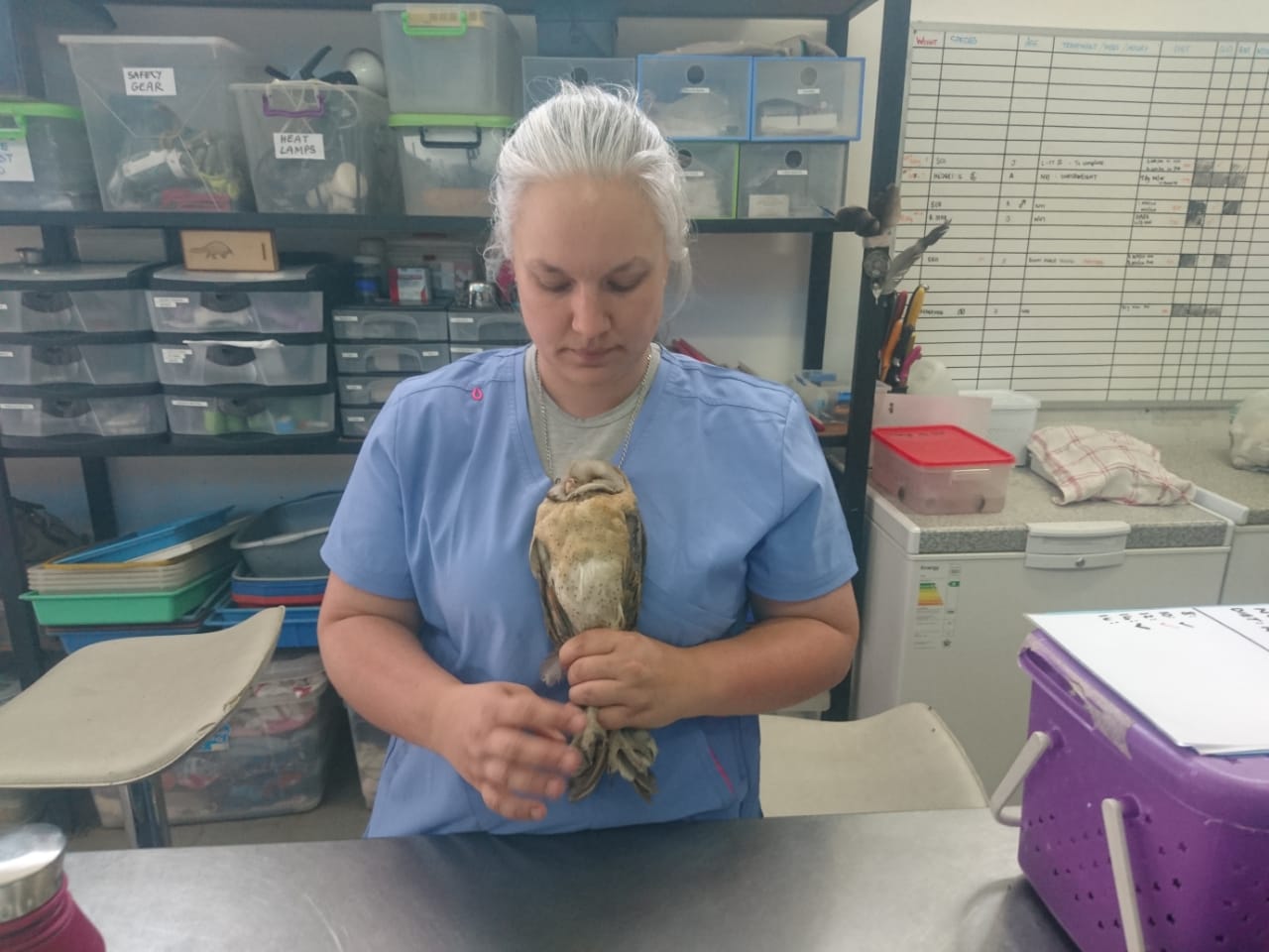 WhatsApp Image 2019-11-12 at 15.15.11.jpeg