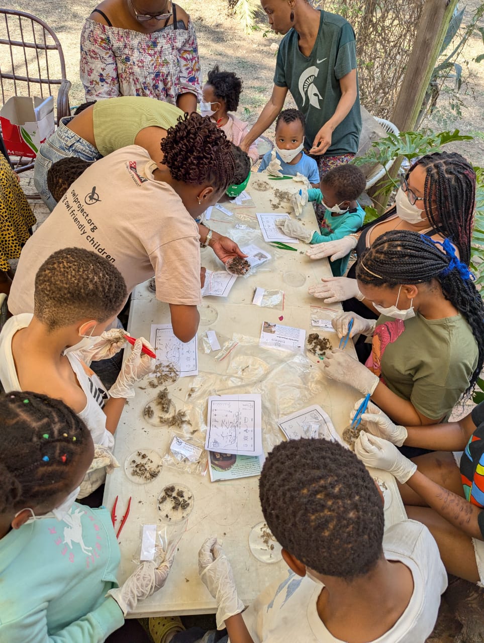 pellet dissection with home school group