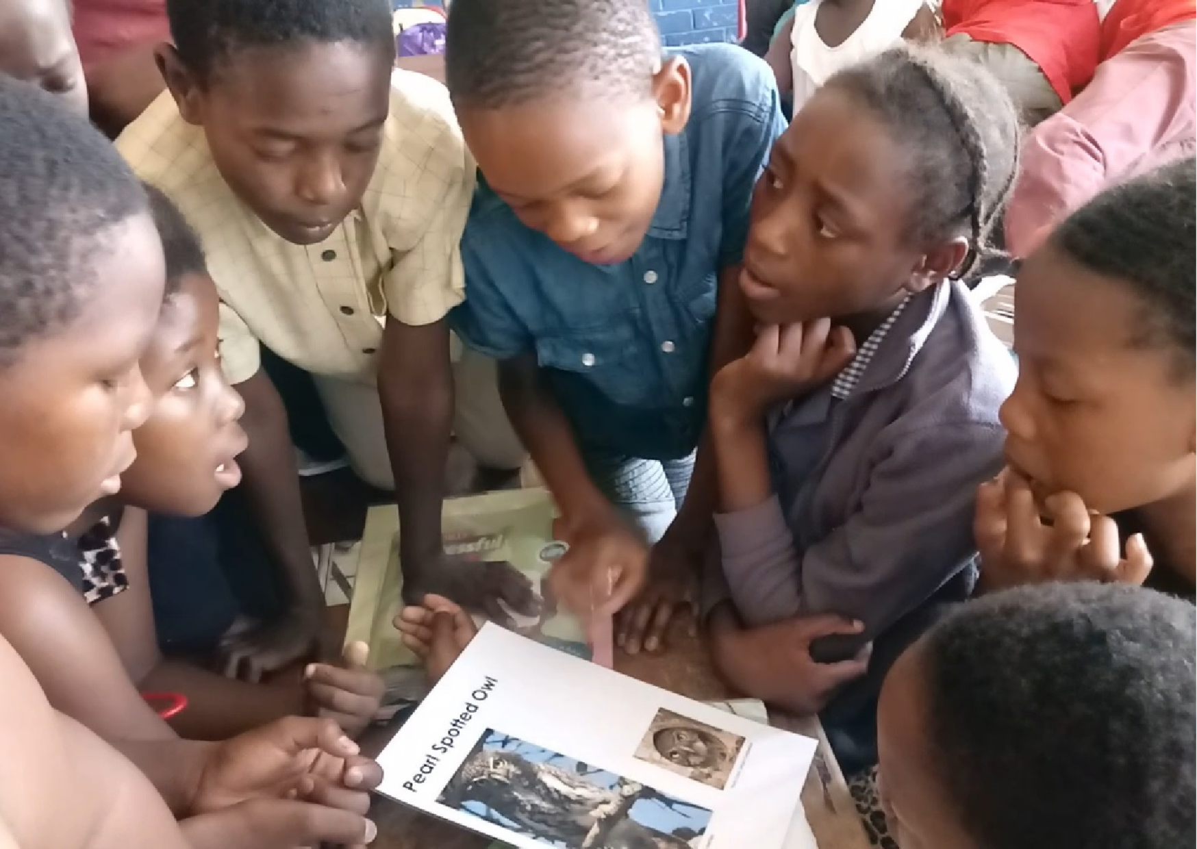 Untitled design (1).png