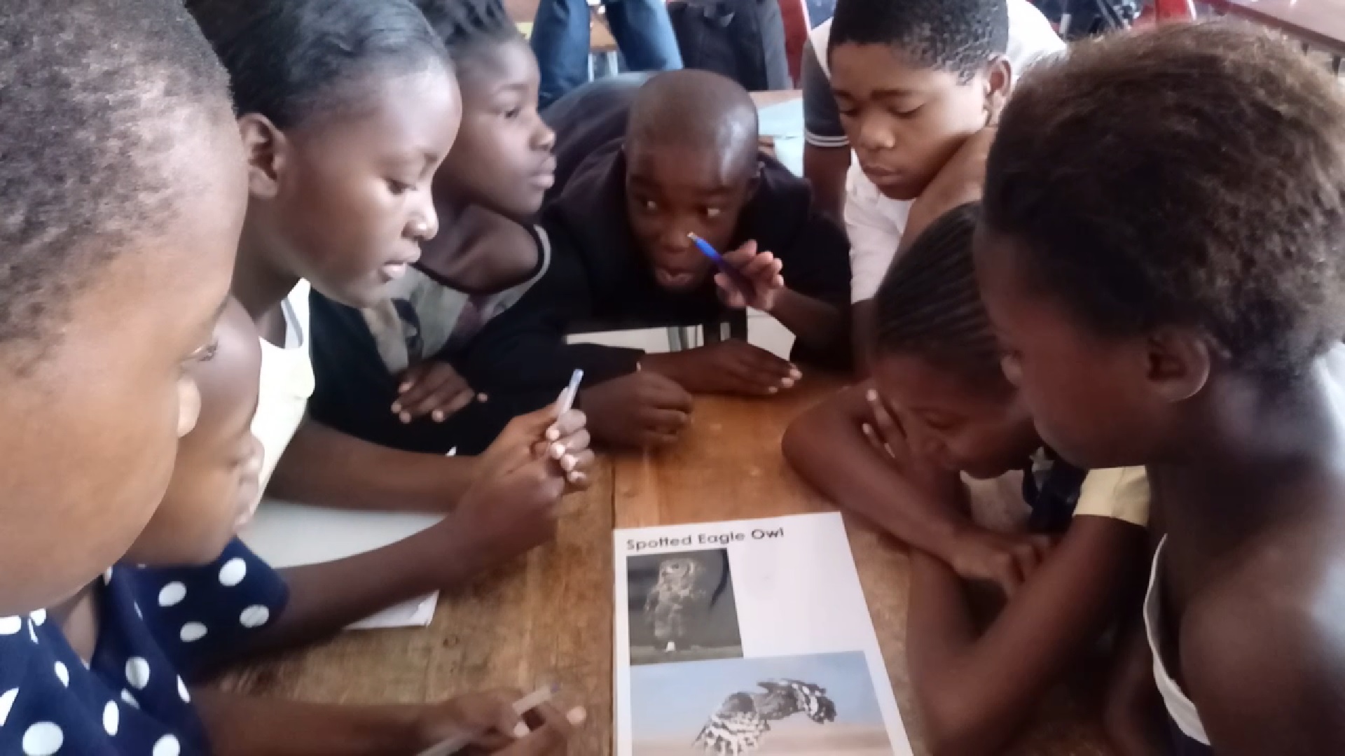 Owl naming discussion.jpg