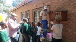 Owl Release Programme