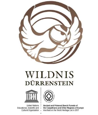 Duurenstein Logo.jpeg