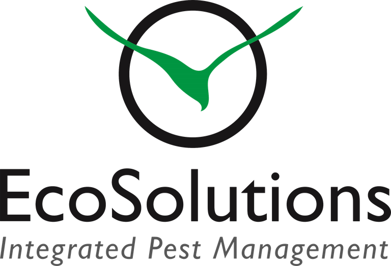 ES transparent background.png