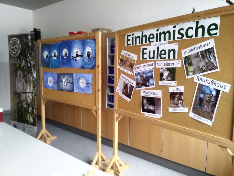 20190315_091315 (1).jpg