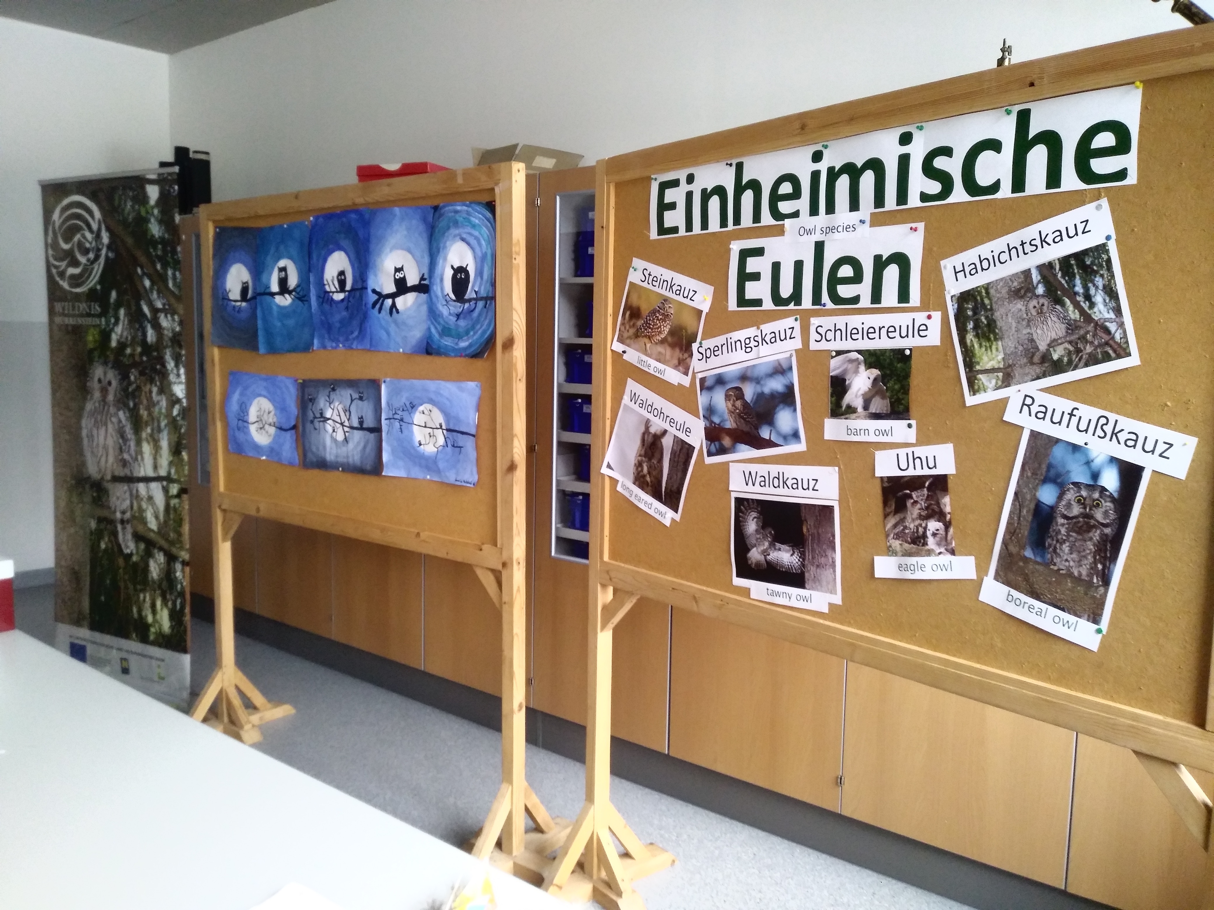 20190315_091315 (1).jpg