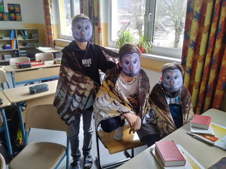 20190315_092633_HDR (1).jpg