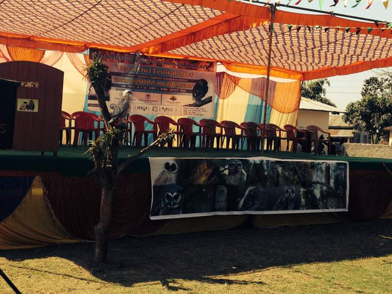 Panel at Owl Festival in Nepal. 